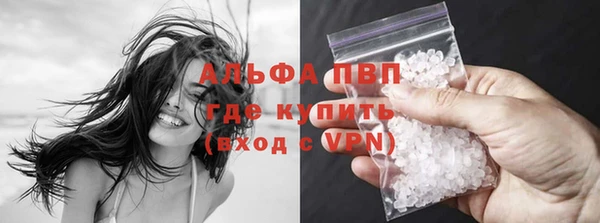 стафф Дмитров