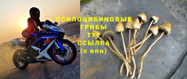 крисы Дмитриев