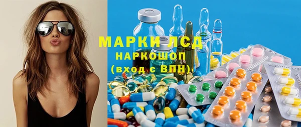 стафф Дмитров
