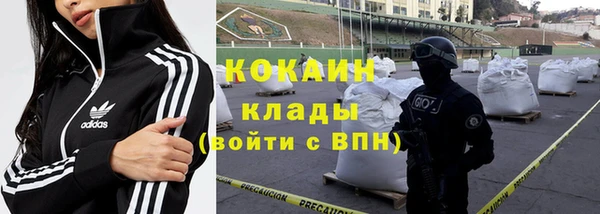 стафф Дмитров
