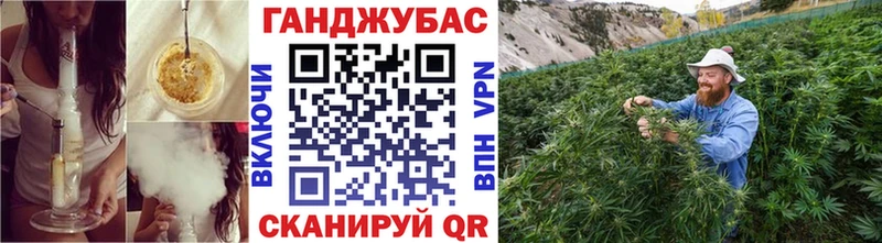 Купить  Калачинск  Конопля SATIVA & INDICA 